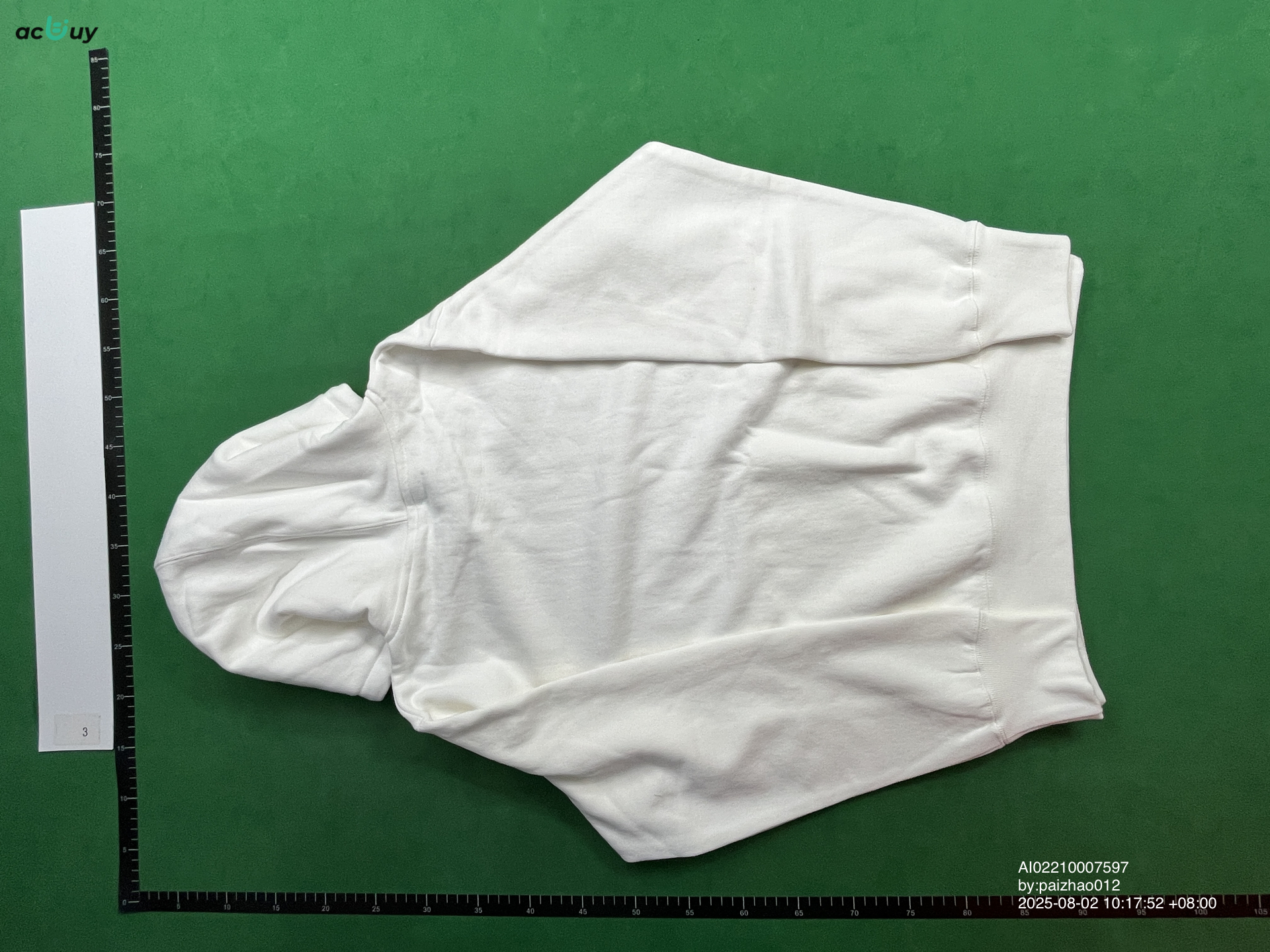 QC Photo - Bladee Rainworld Hoodie