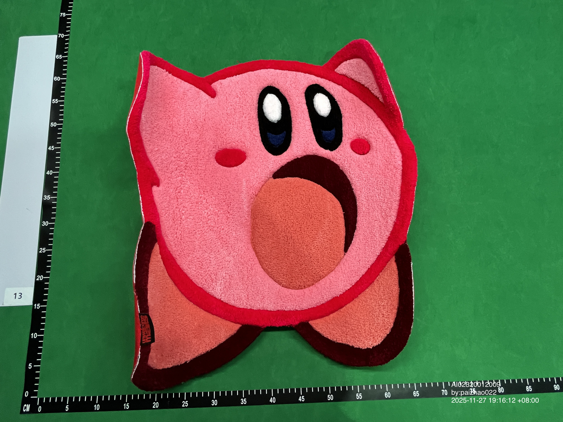 QC Photo - Kirby Carpet
