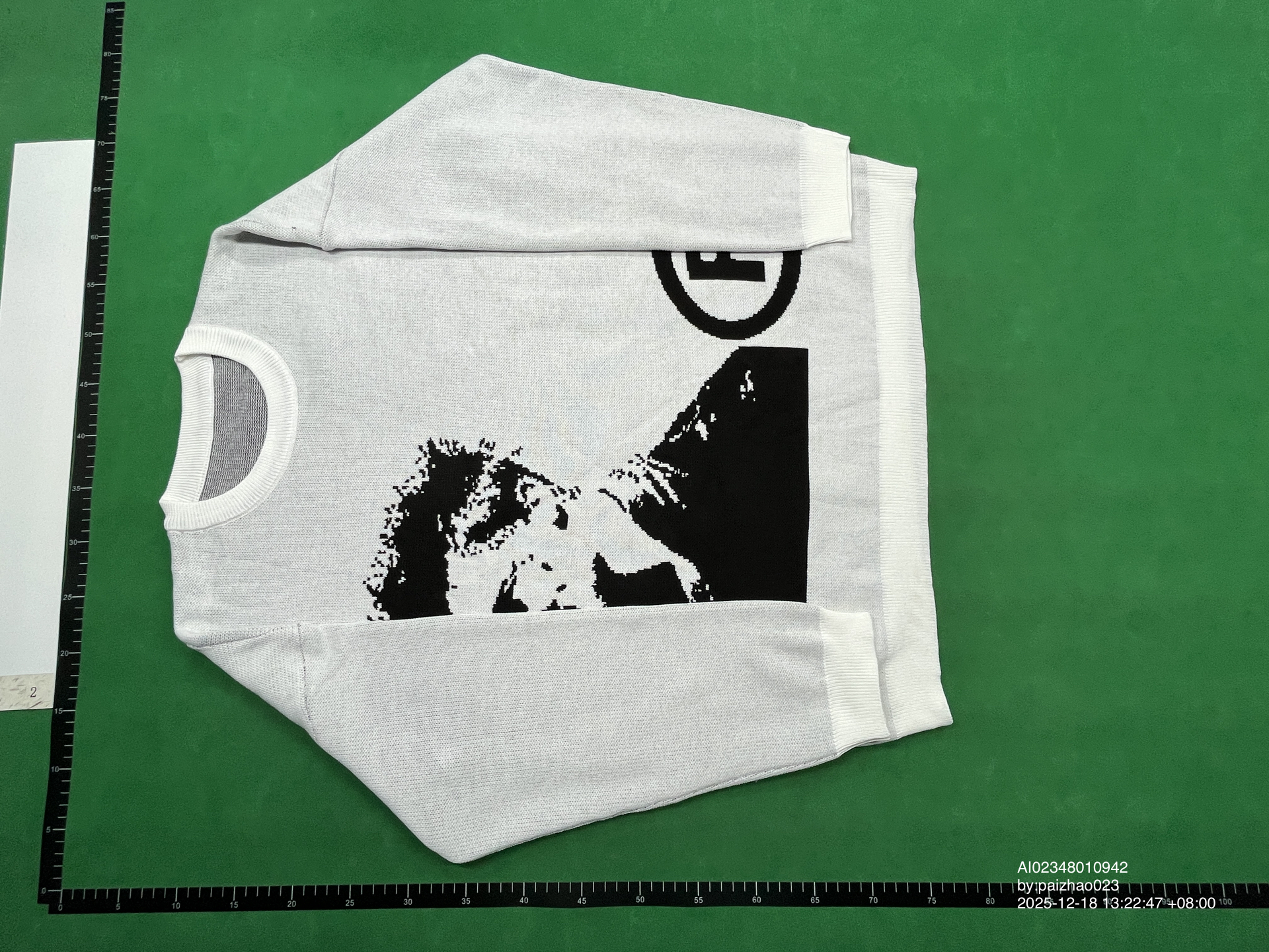 QC Photo - Joy Divizn Sweater