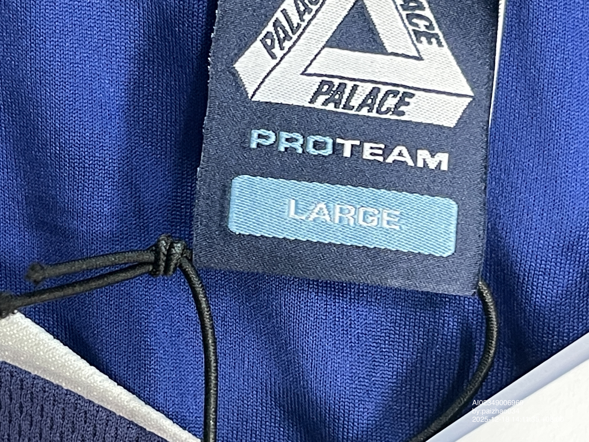QC Photo - Palace Blue Palasonic Jersey