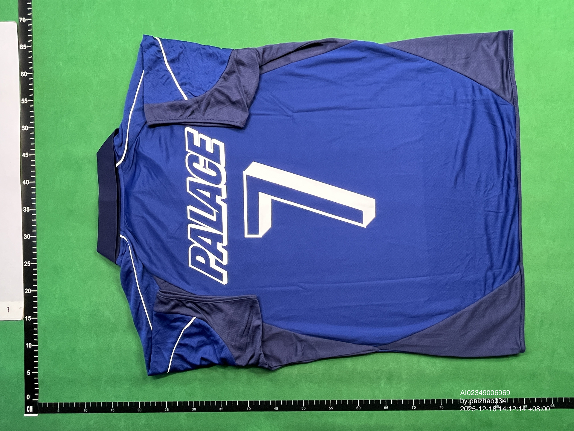 QC Photo - Palace Blue Palasonic Jersey