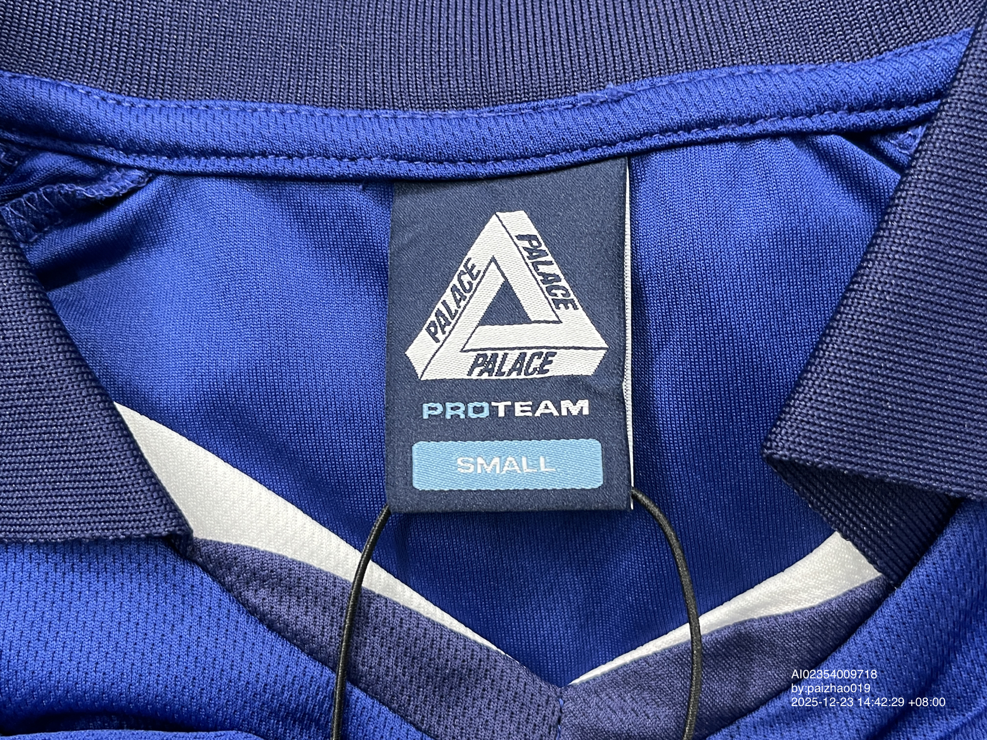 QC Photo - Palace Blue Palasonic Jersey