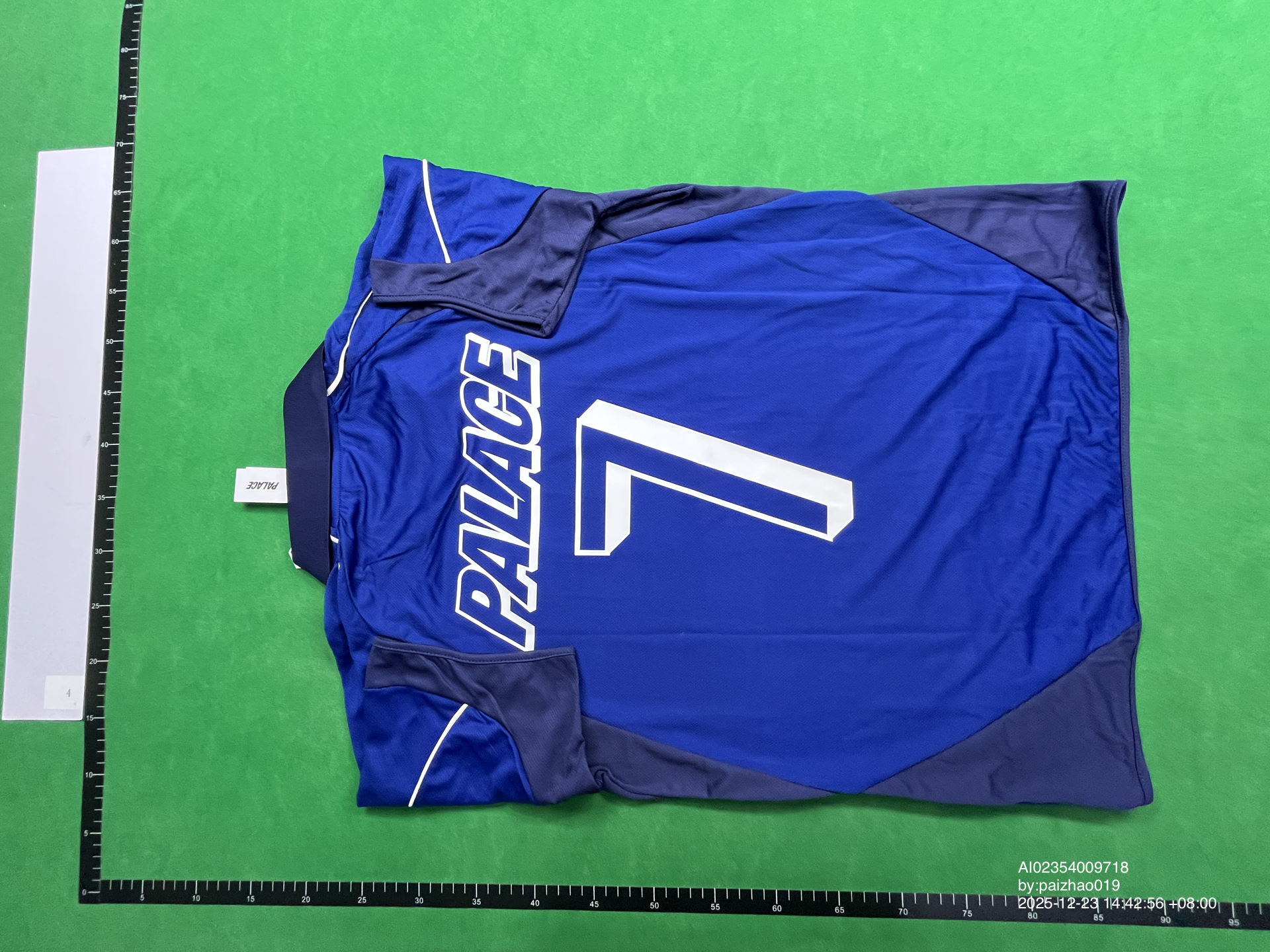 QC Photo - Palace Blue Palasonic Jersey