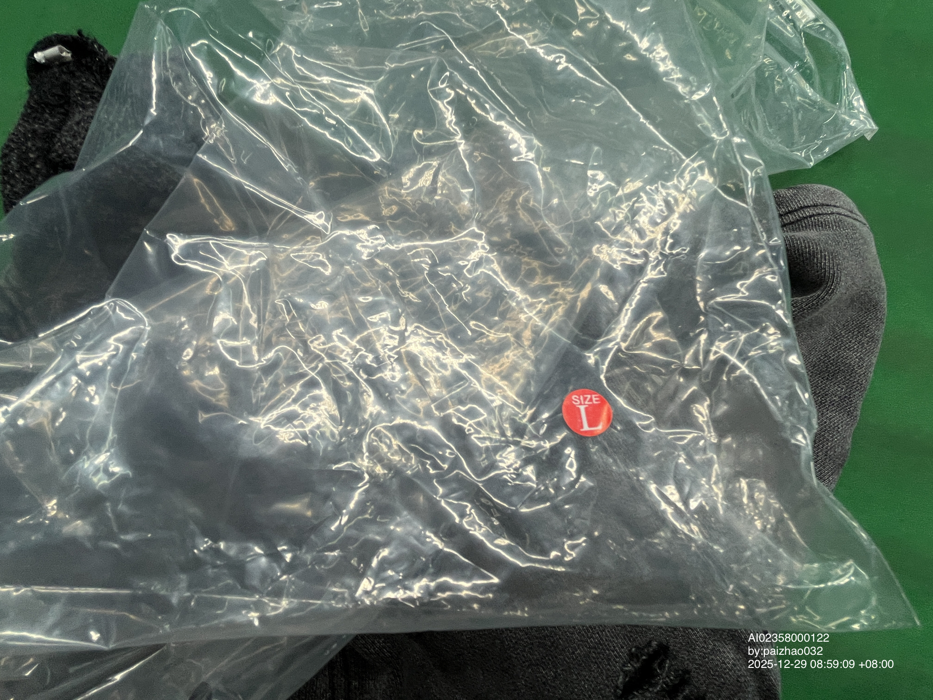 QC Photo - Unbranded Blank Shorts #4