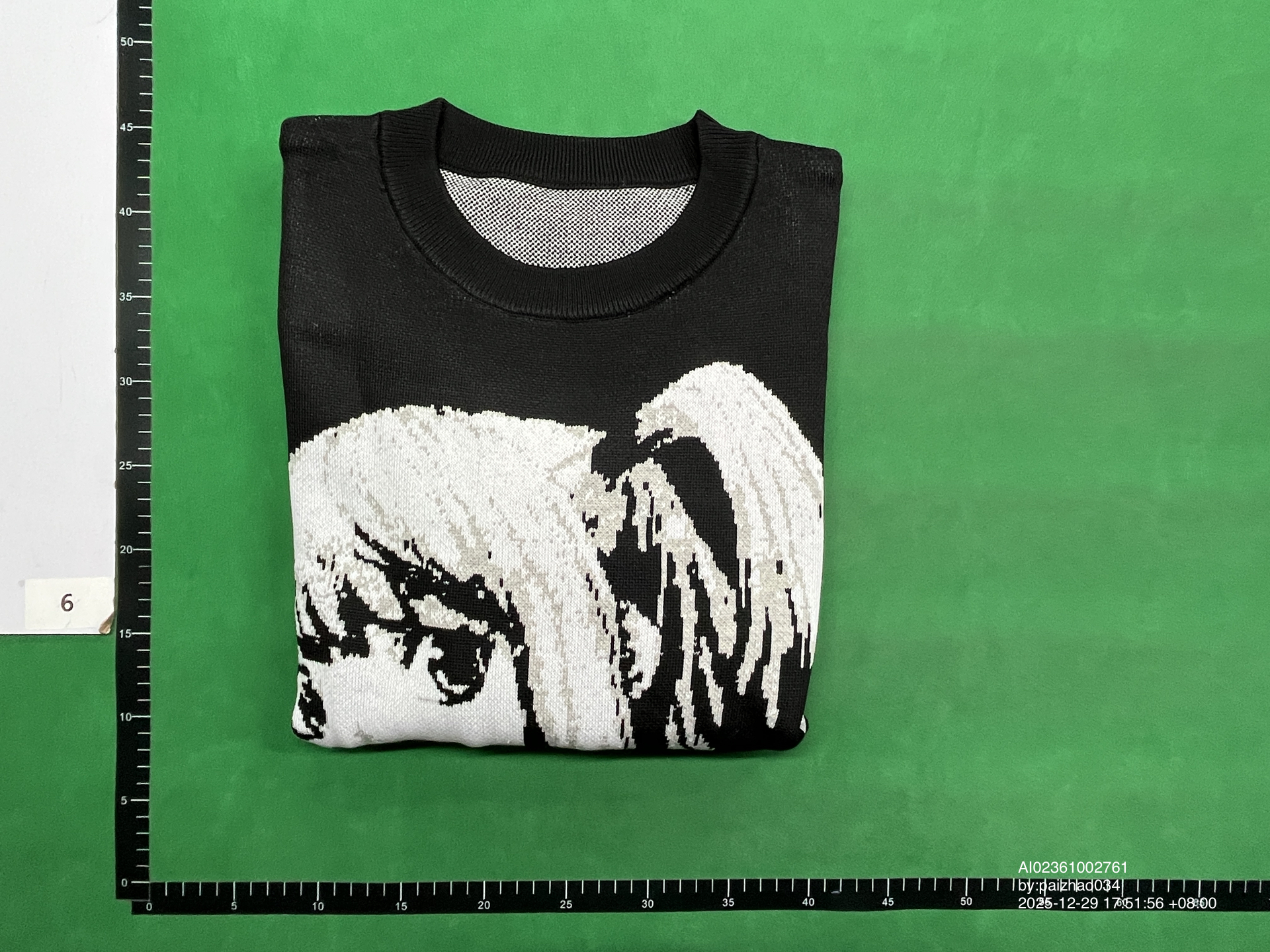 QC Photo - Death Note Misa Amane Sweater