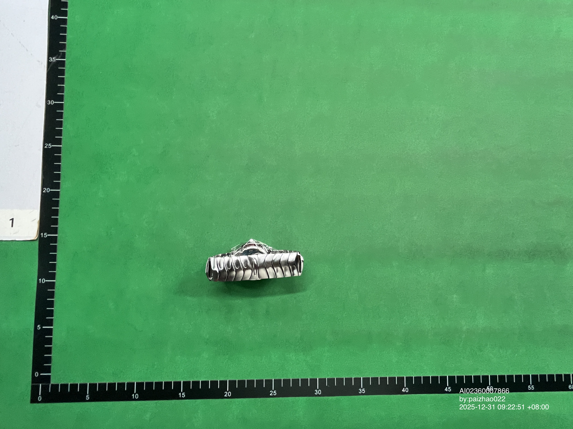 QC Photo - Oakley Blade Watch