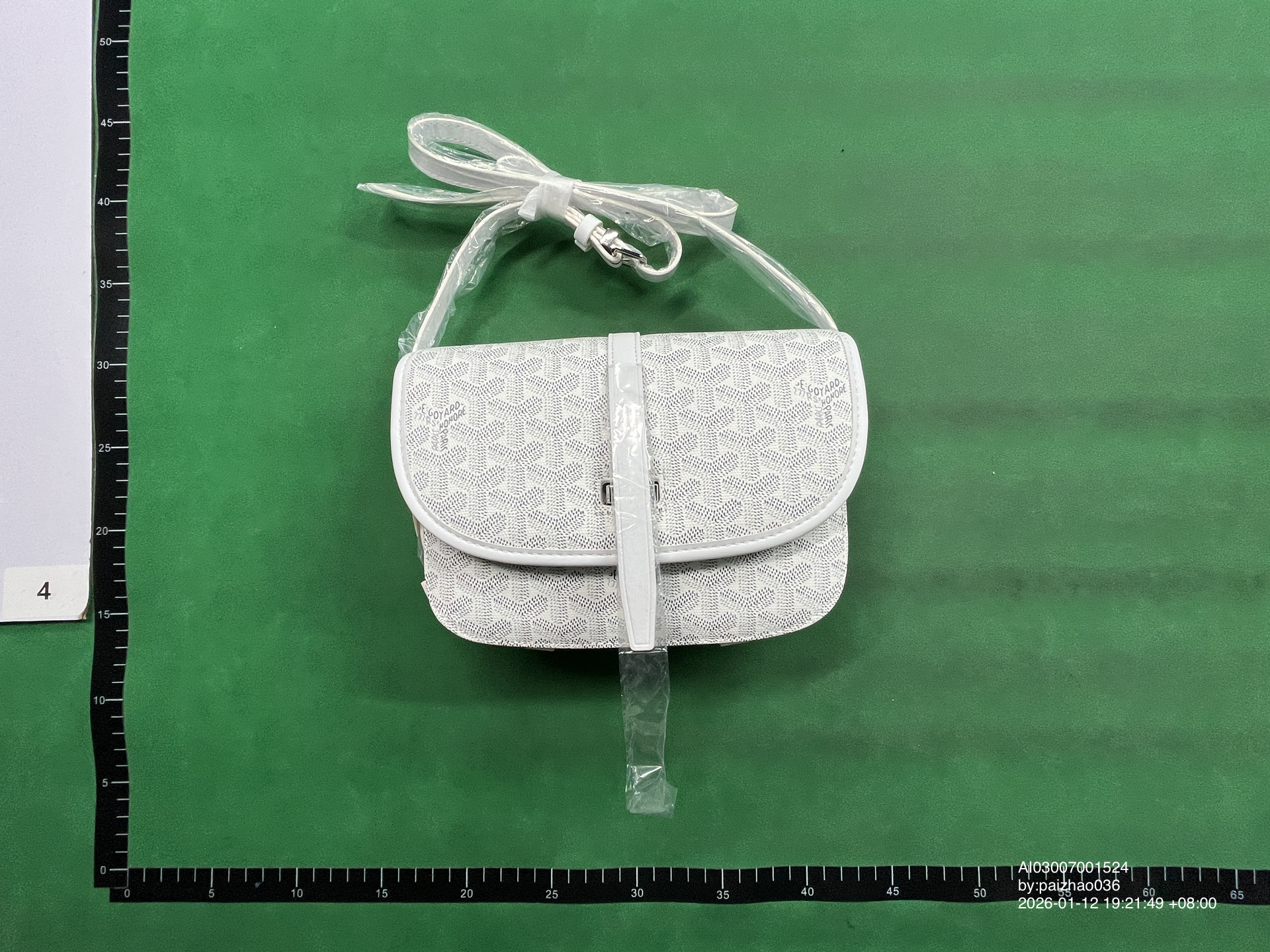 QC Photo - Goyard Messenger Bag (8 Variants)