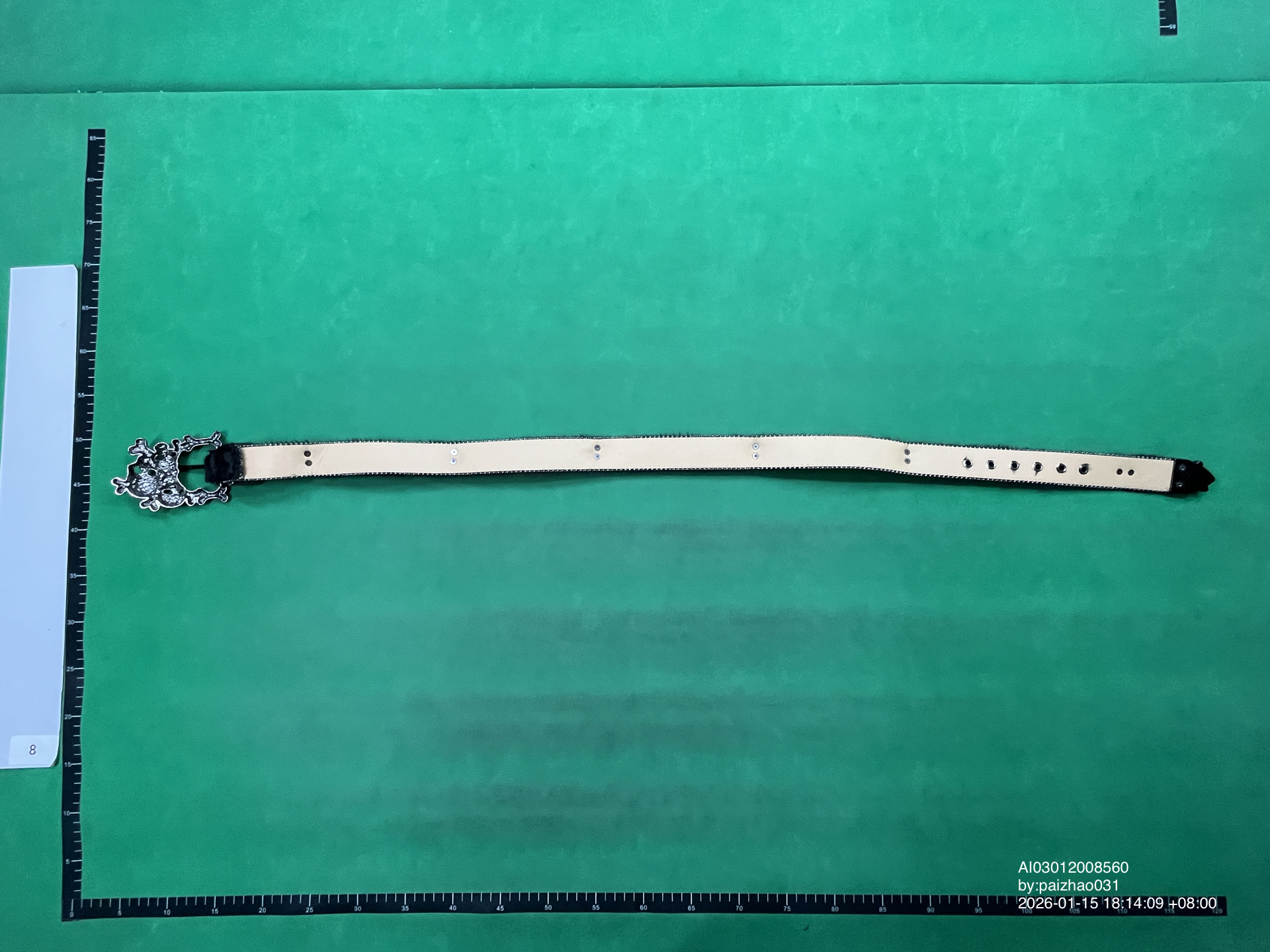 QC Photo - Skull BB Belts #2