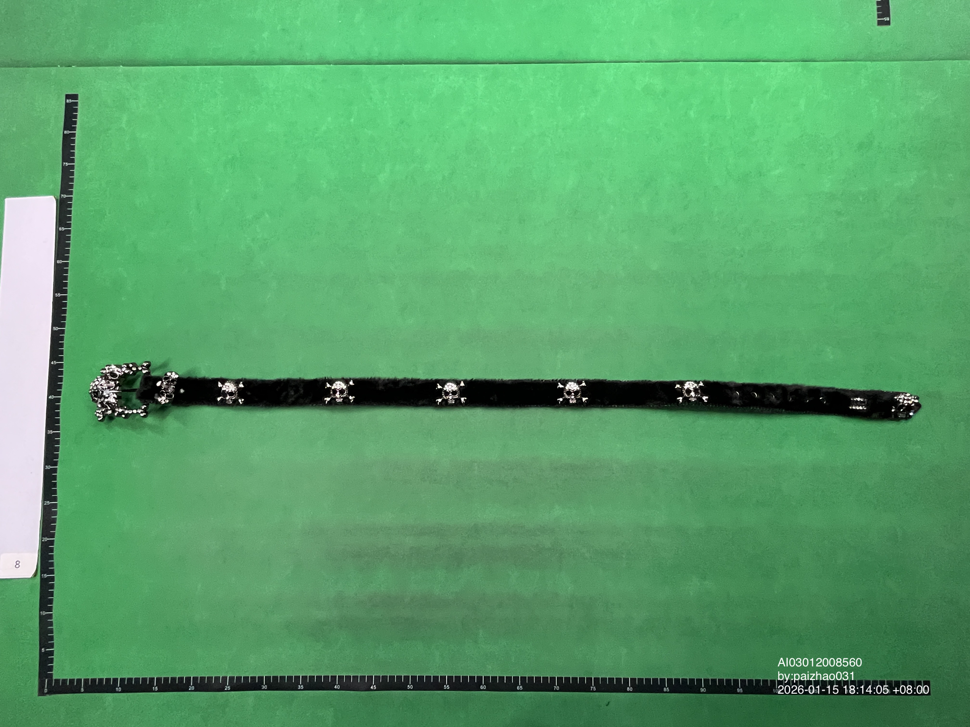 QC Photo - Skull BB Belts #2