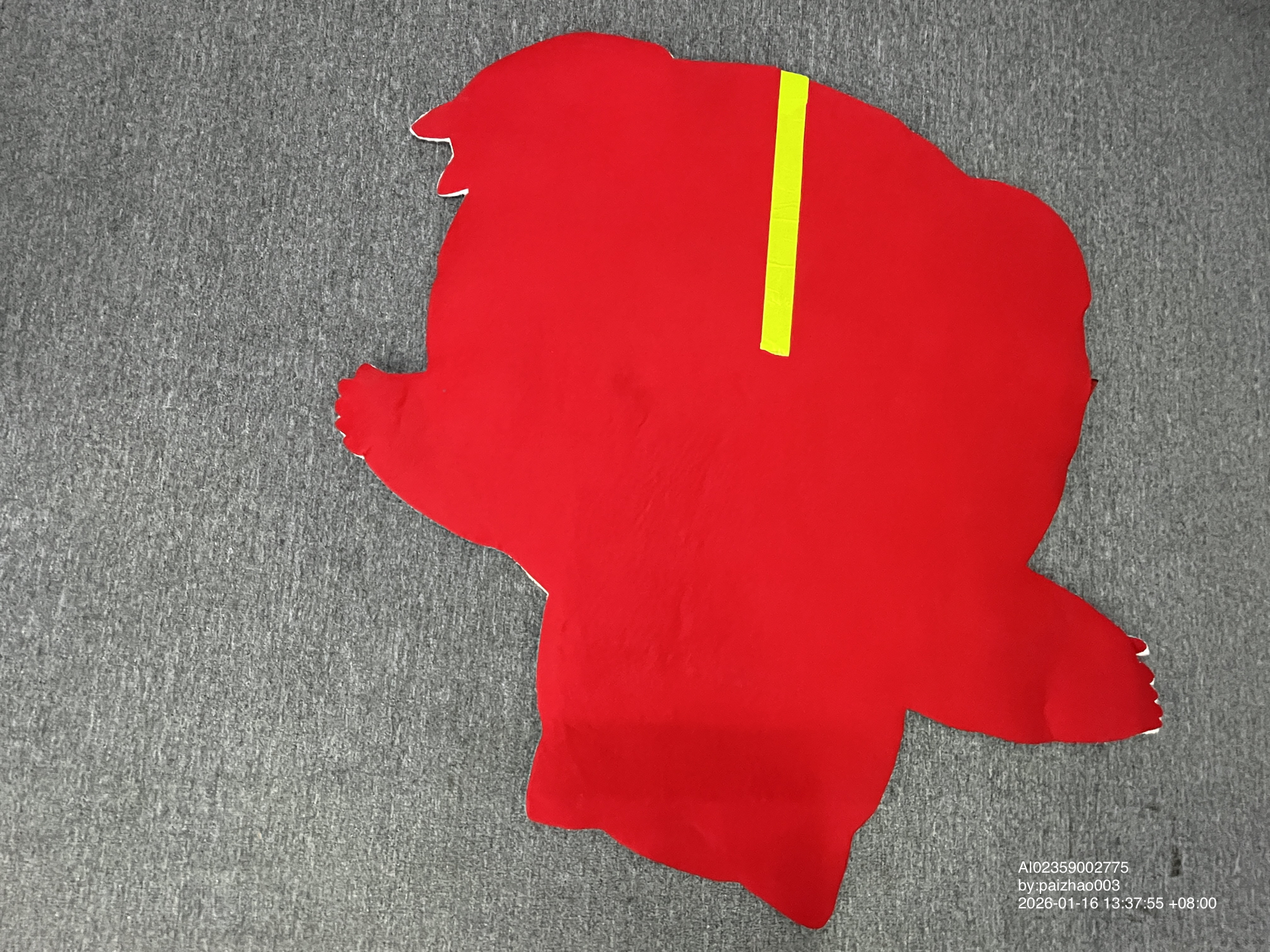 QC Photo - Snorlax Carpet