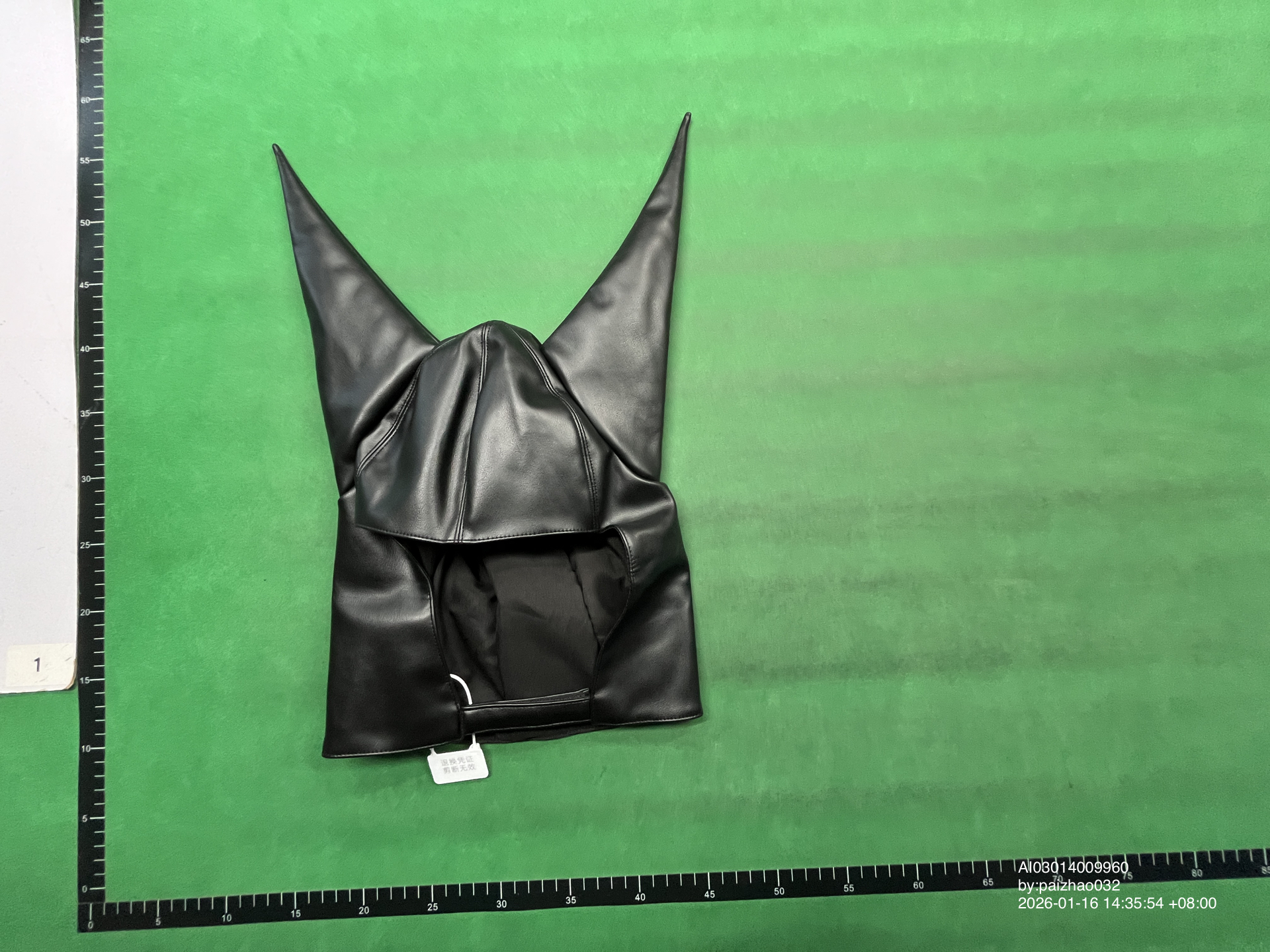 QC Photo - Anonymous Club Leather Dunce Cap