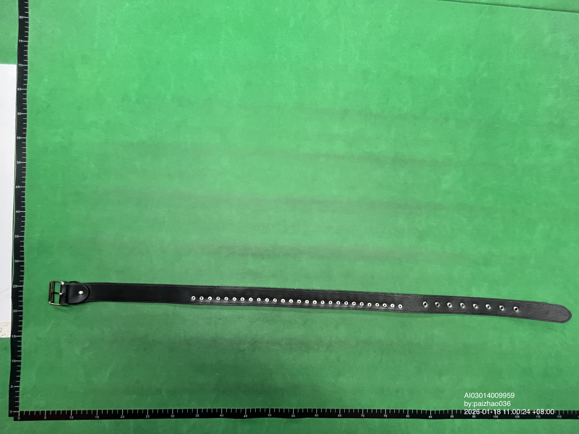 QC Photo - Bullet Belt