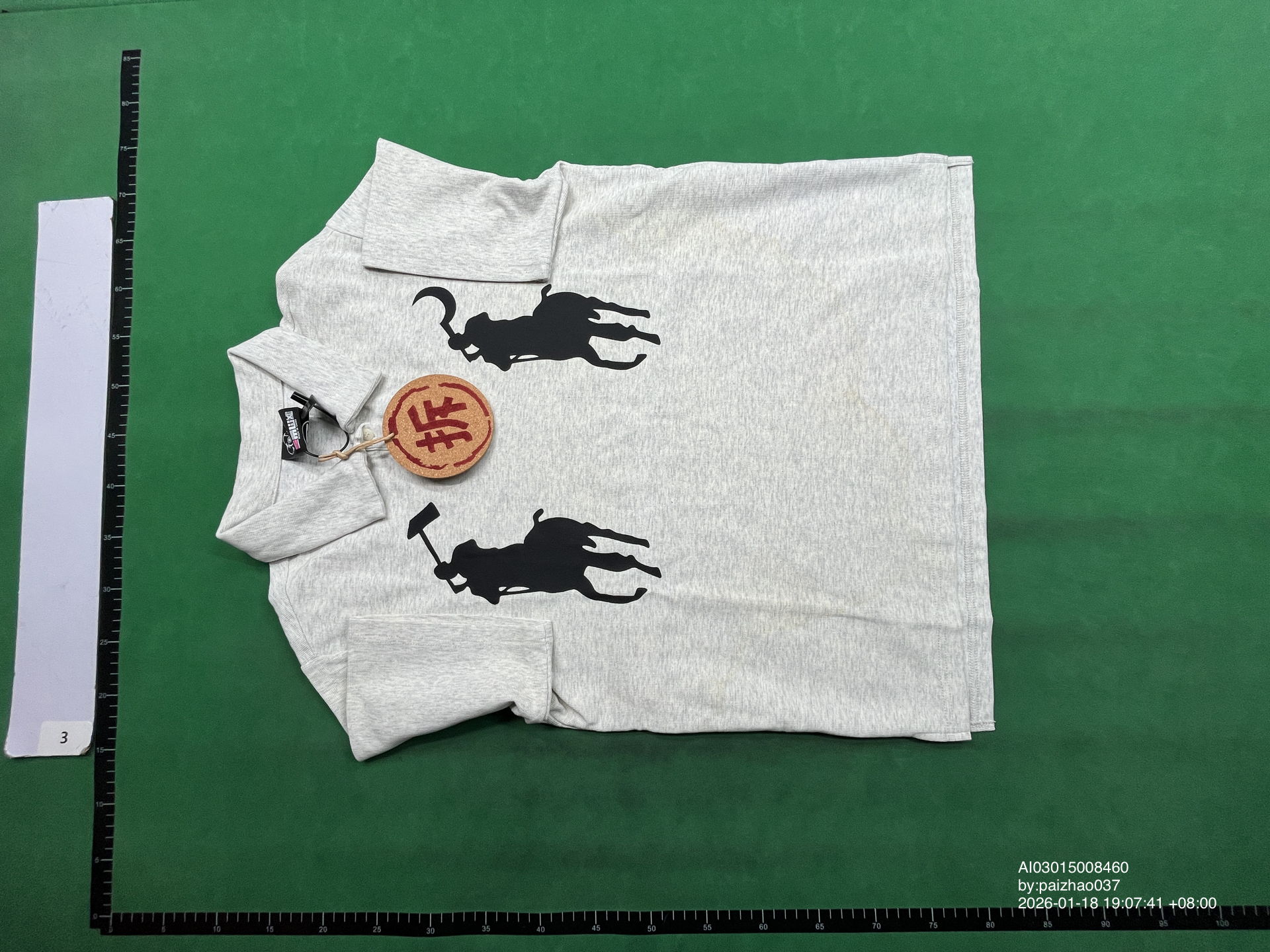 QC Photo - Hammer and Sickle Horse Polo