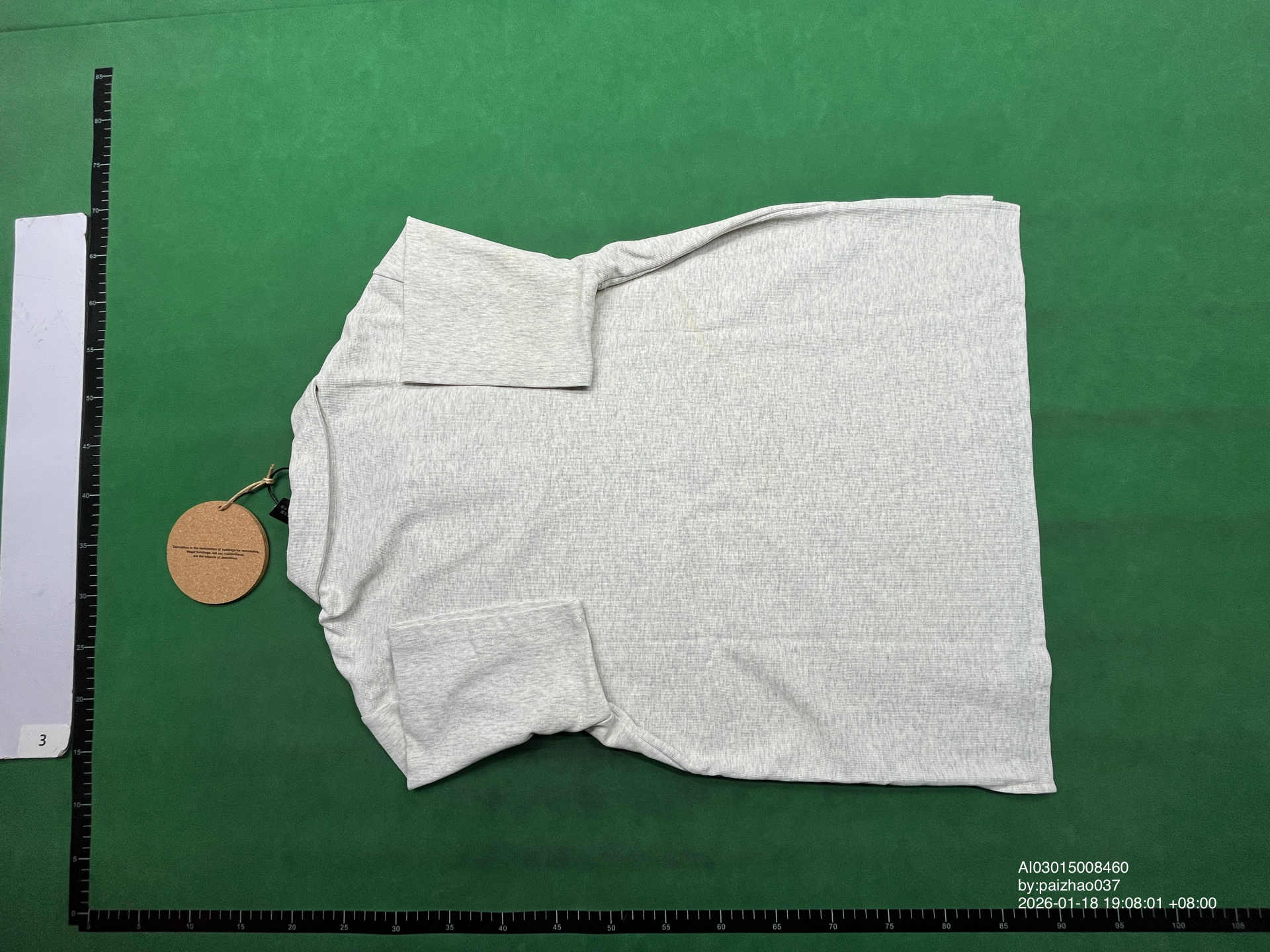 QC Photo - Hammer and Sickle Horse Polo