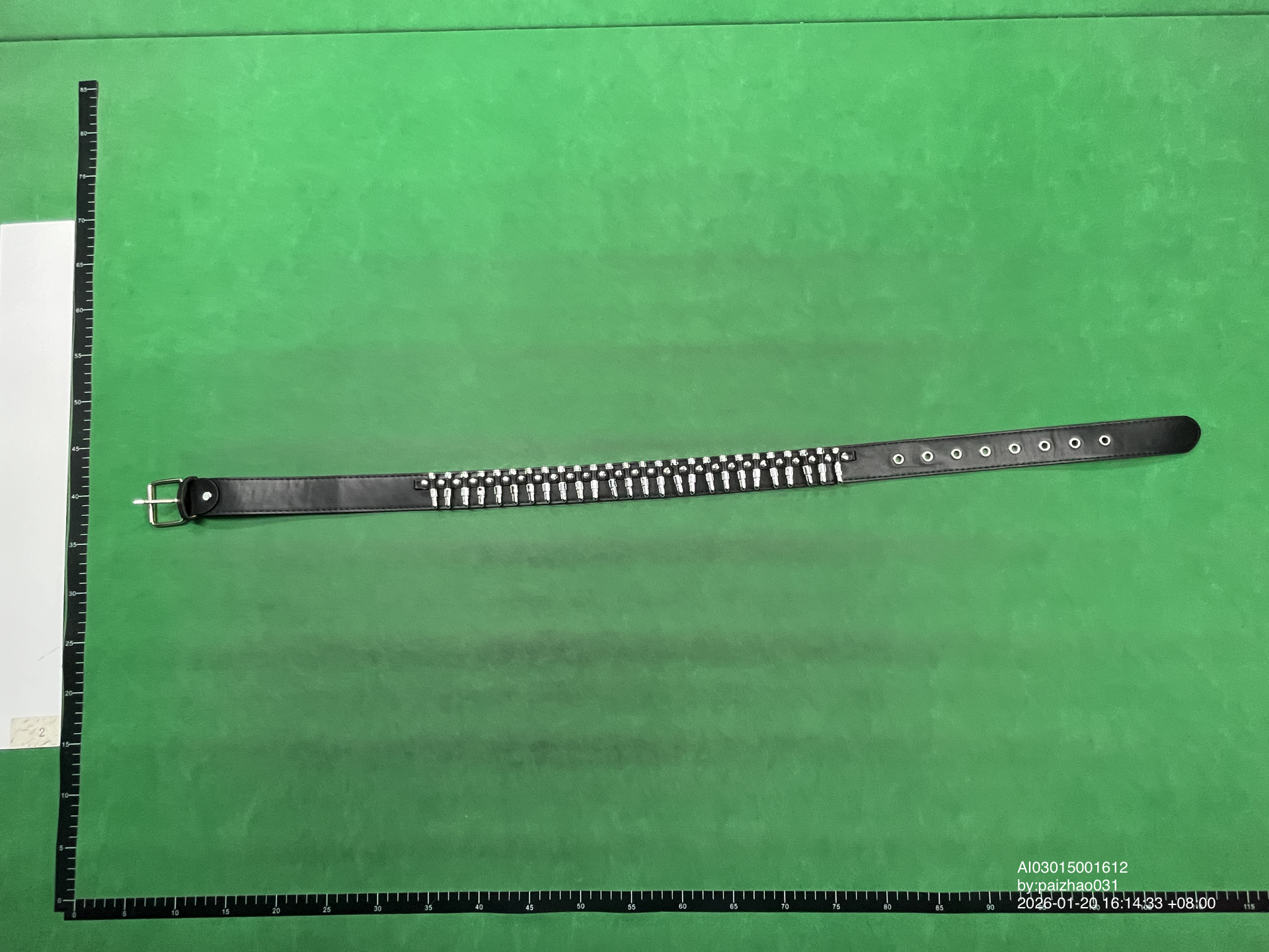 QC Photo - Bullet Belt