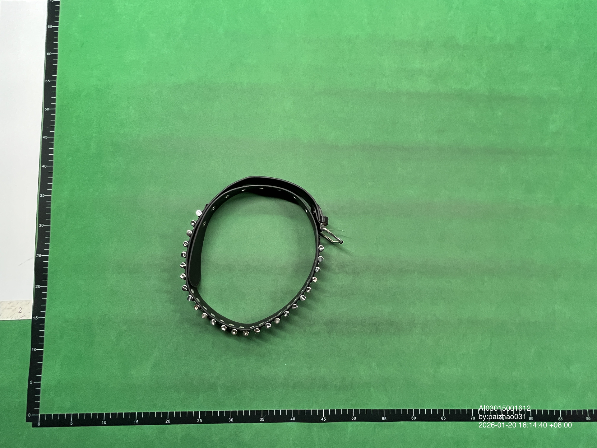 QC Photo - Bullet Belt