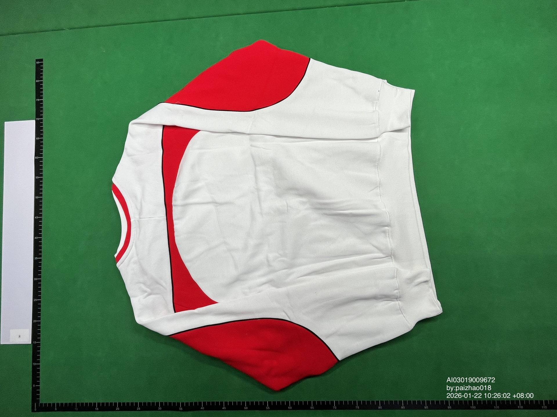 QC Photo - Palace Pro Team Palco Red Sweater