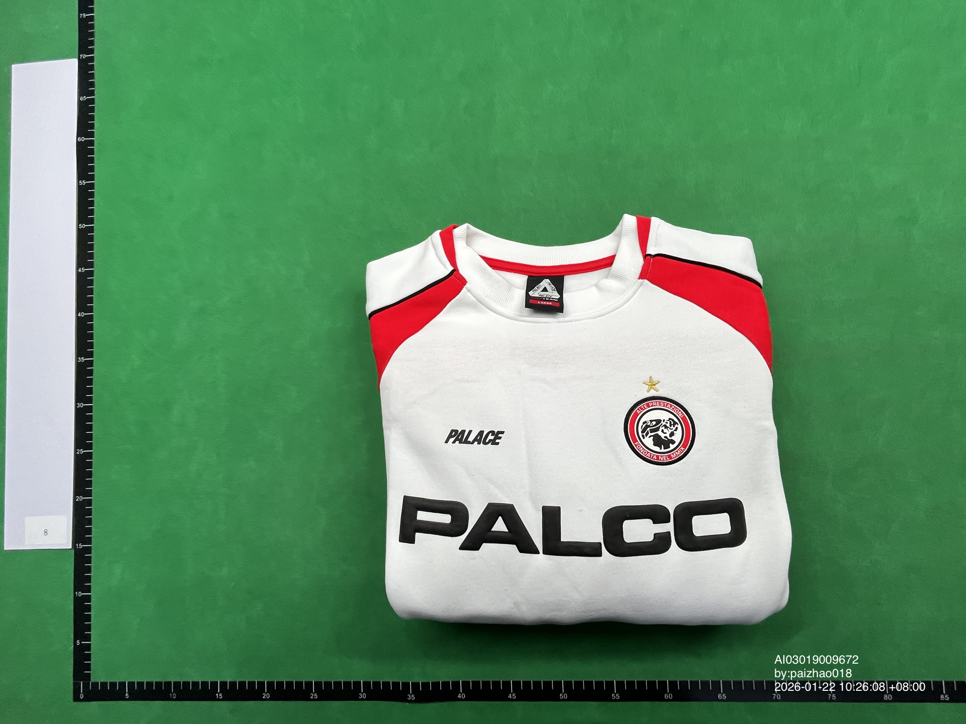 QC Photo - Palace Pro Team Palco Red Sweater