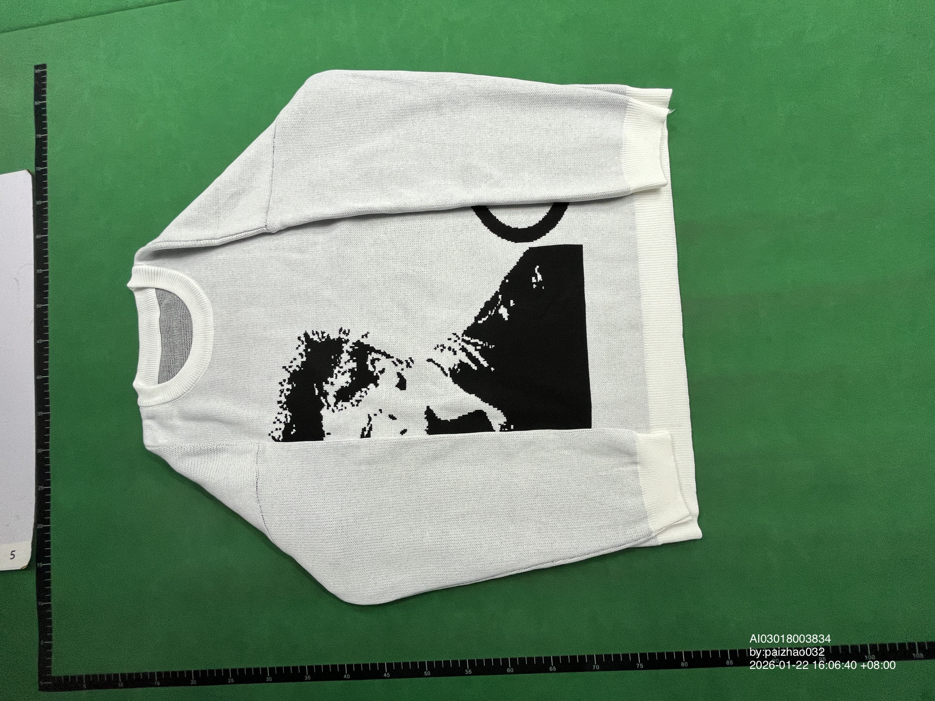 QC Photo - Joy Divizn Sweater