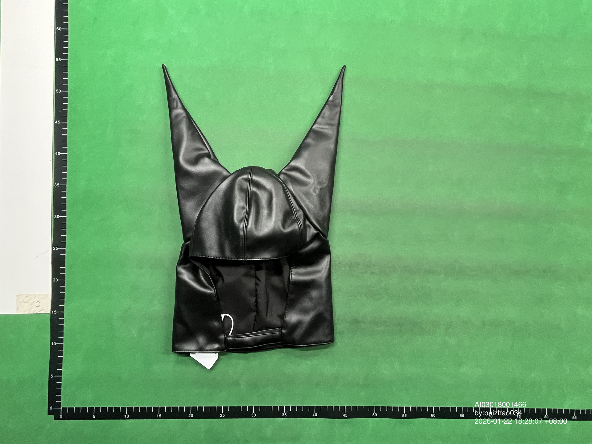 QC Photo - Anonymous Club Leather Dunce Cap