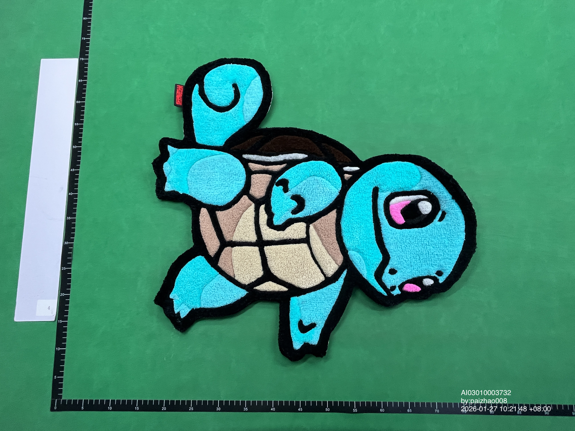 QC Photo - Squirtle Carpet