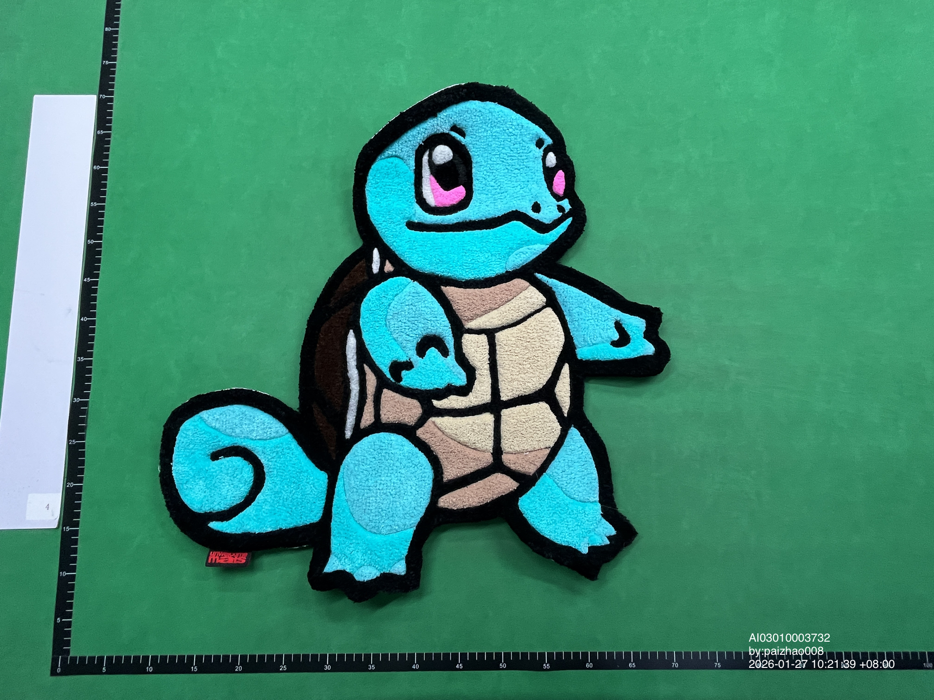 QC Photo - Squirtle Carpet