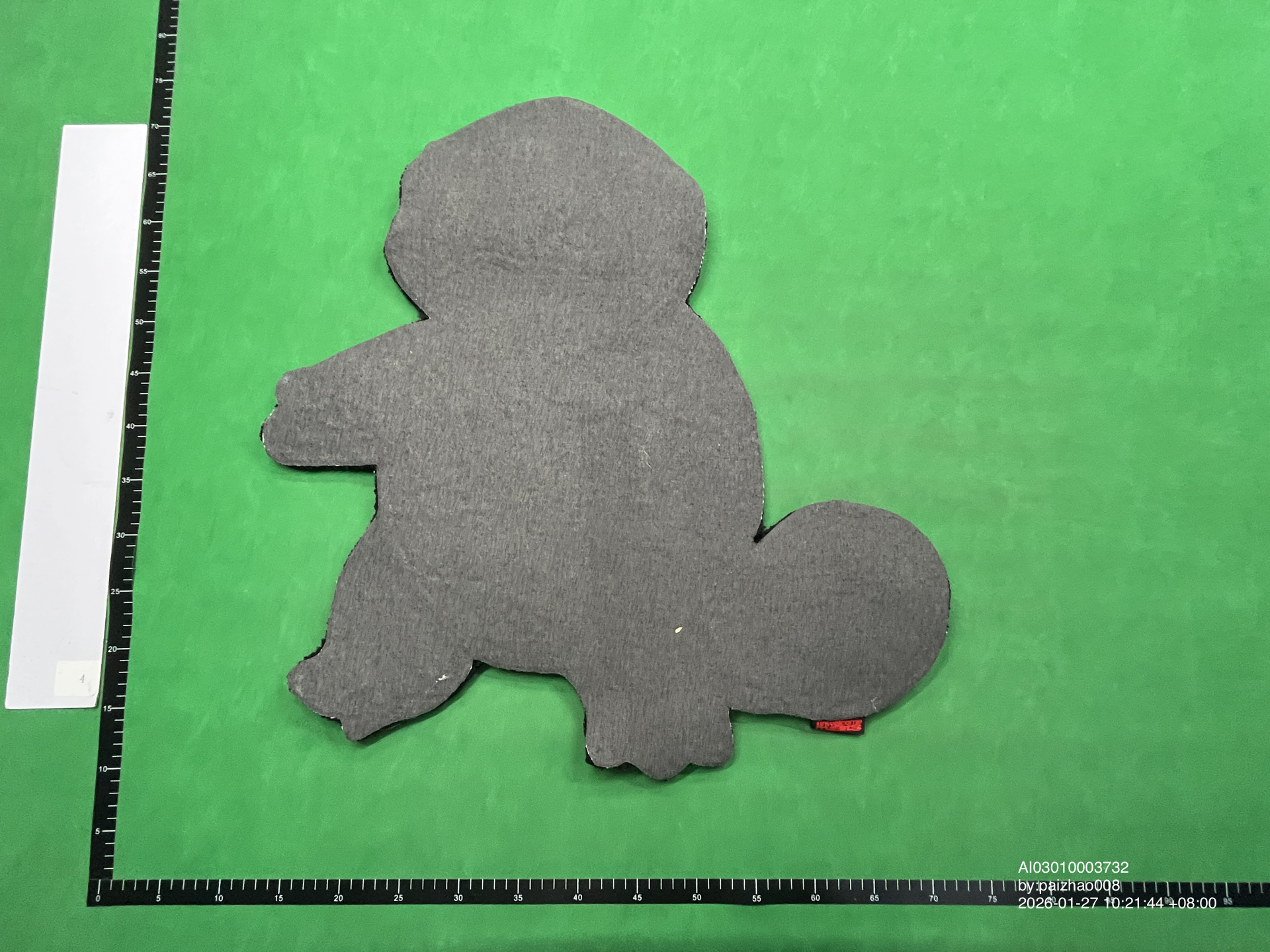 QC Photo - Squirtle Carpet