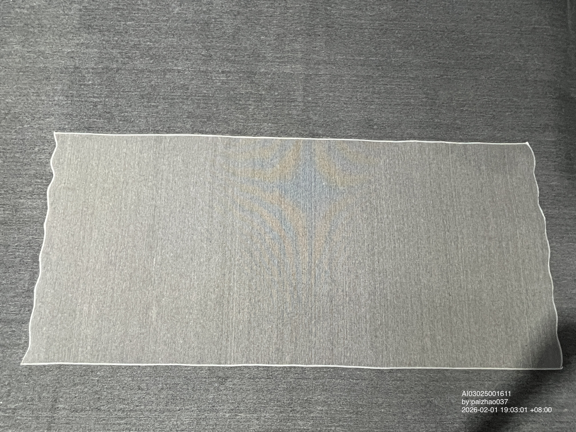 QC Photo - Wet Grass Carpet