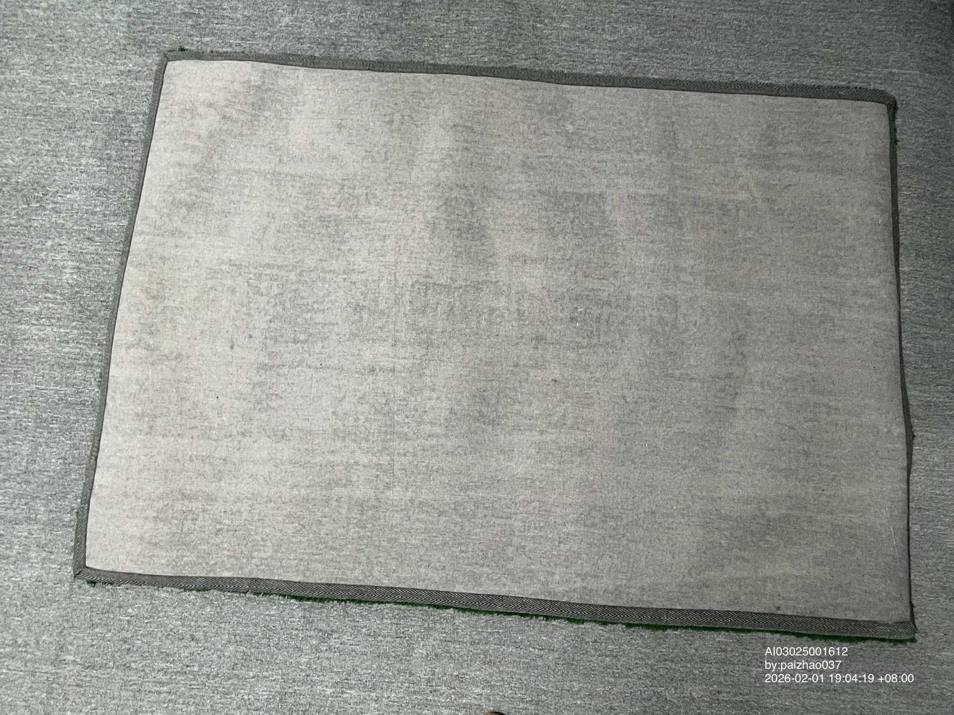 QC Photo - Wet Grass Carpet