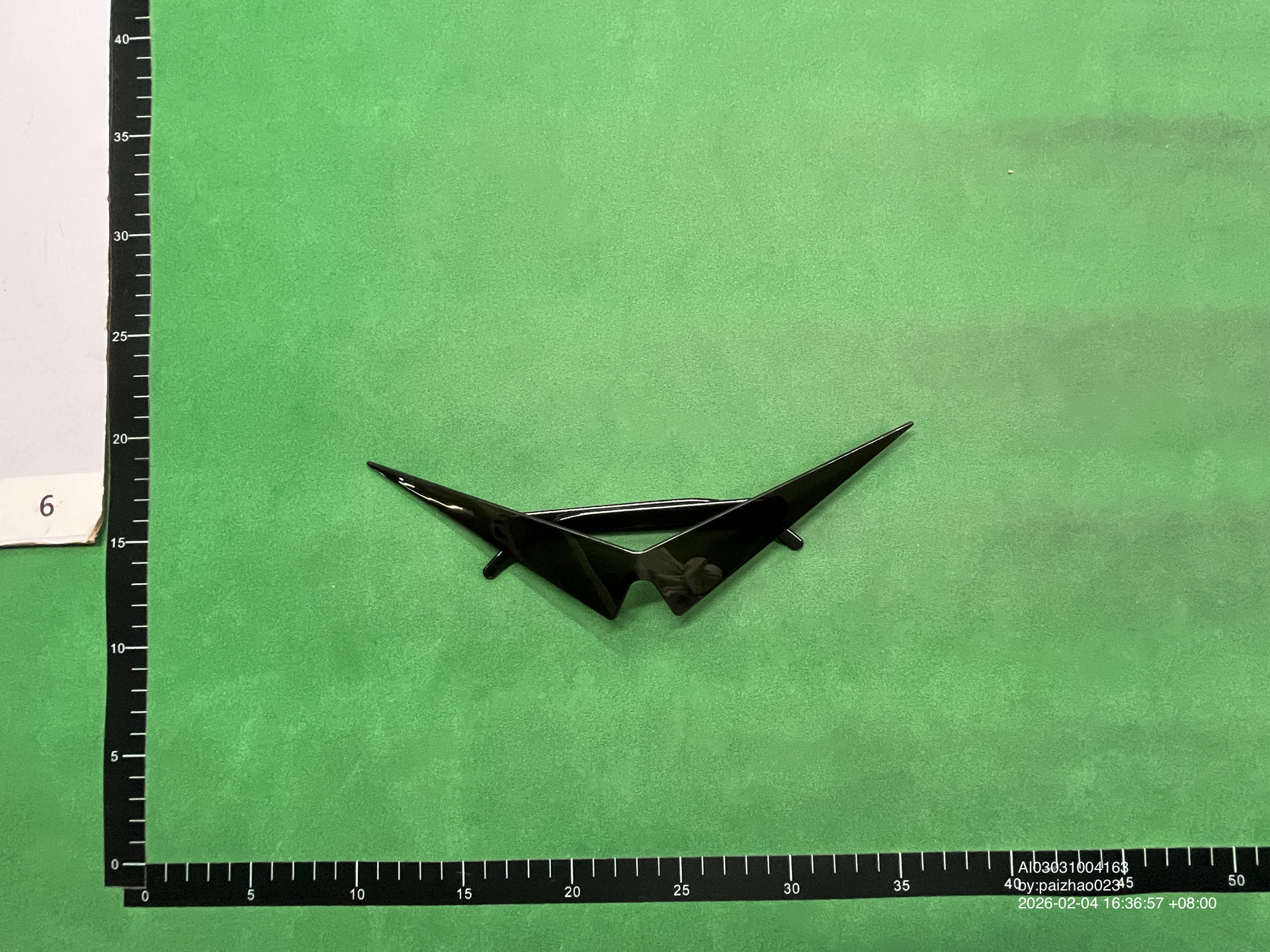 QC Photo - Squirtle Sunglasses