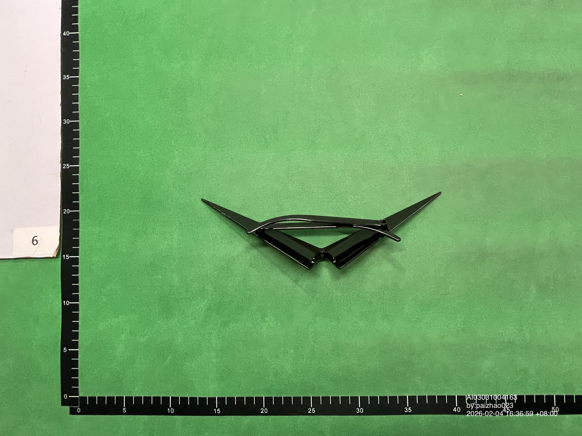 QC Photo - Squirtle Sunglasses