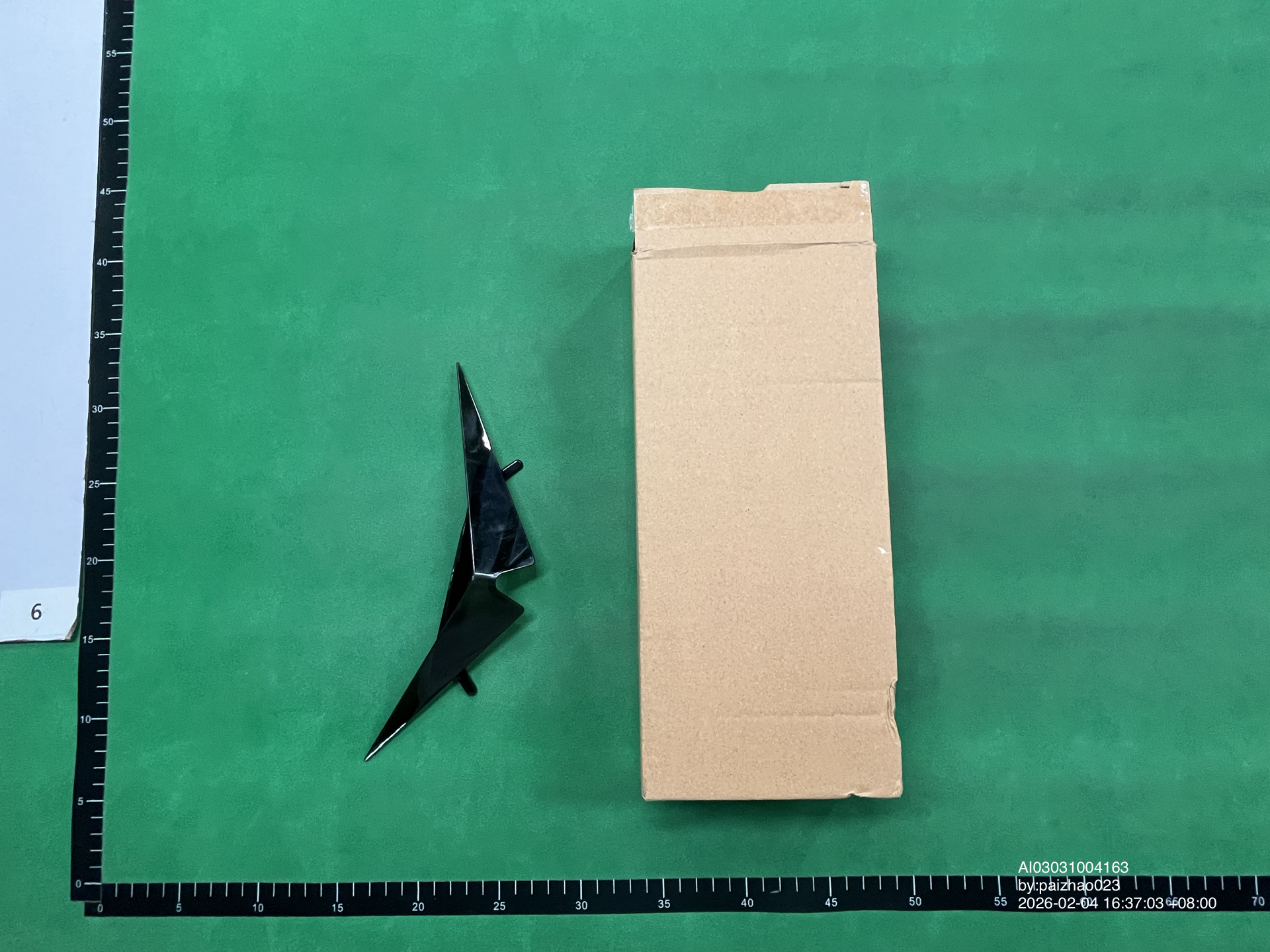 QC Photo - Squirtle Sunglasses