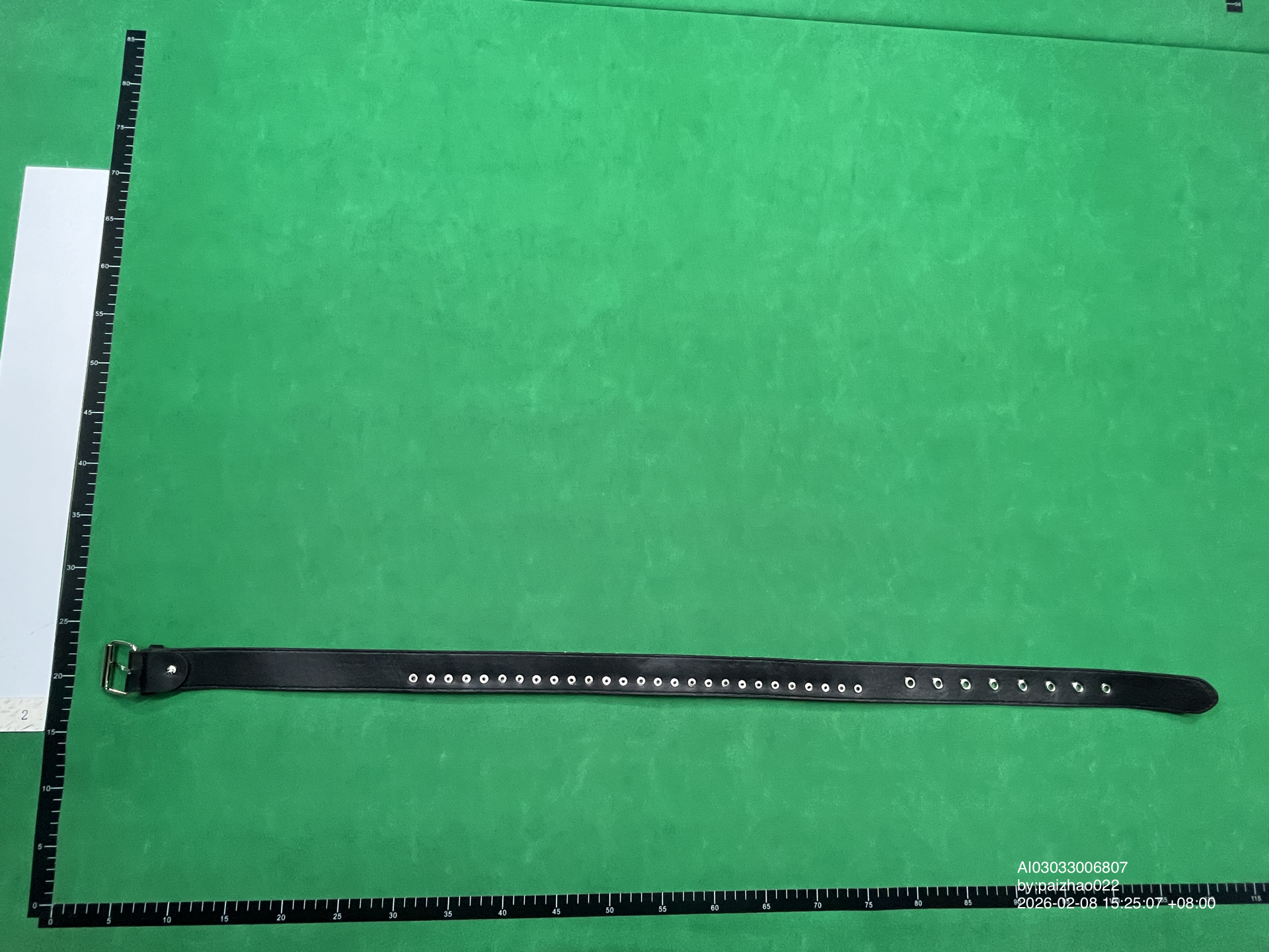 QC Photo - Bullet Belt