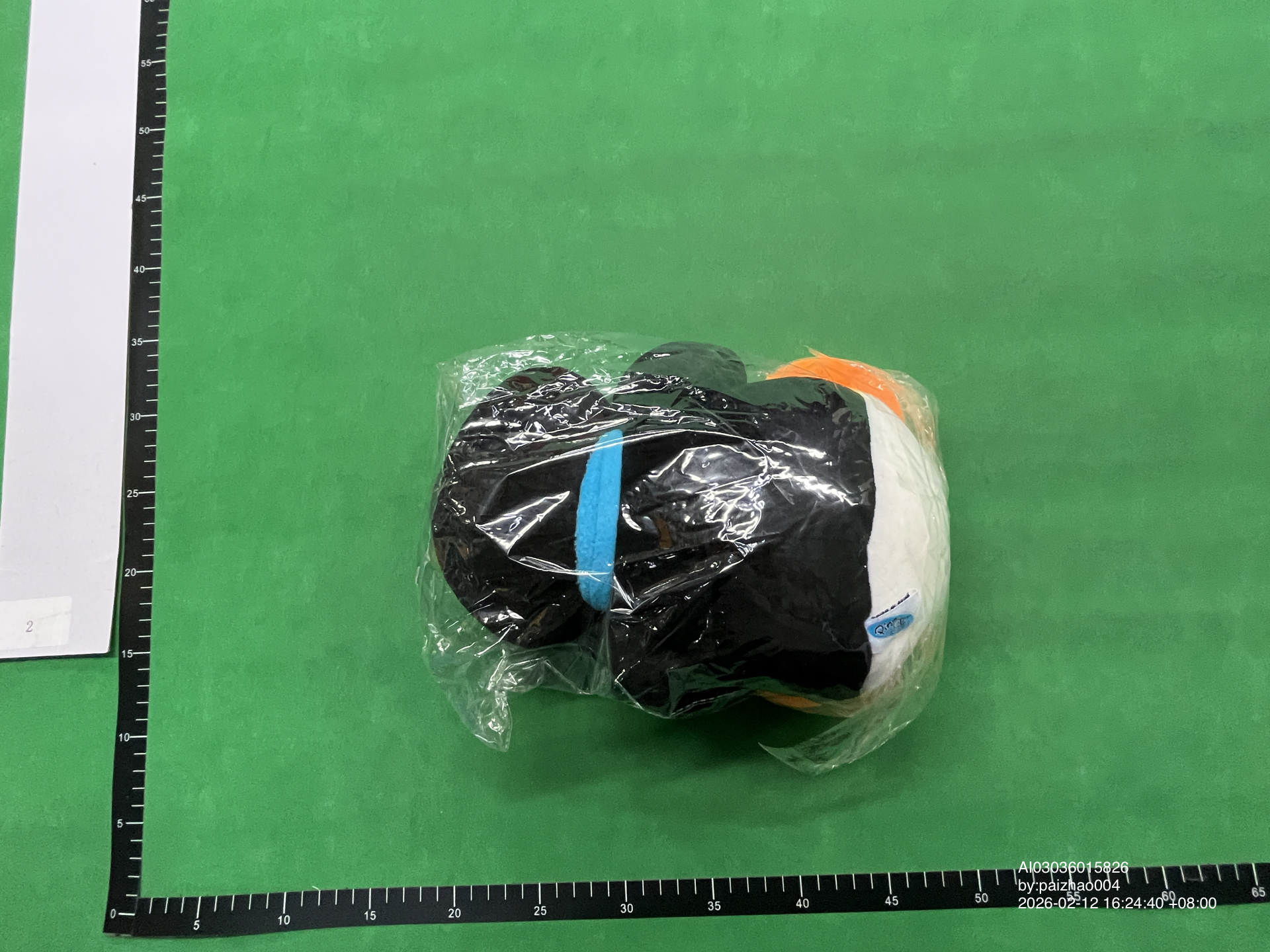 QC Photo - Pingu Plush
