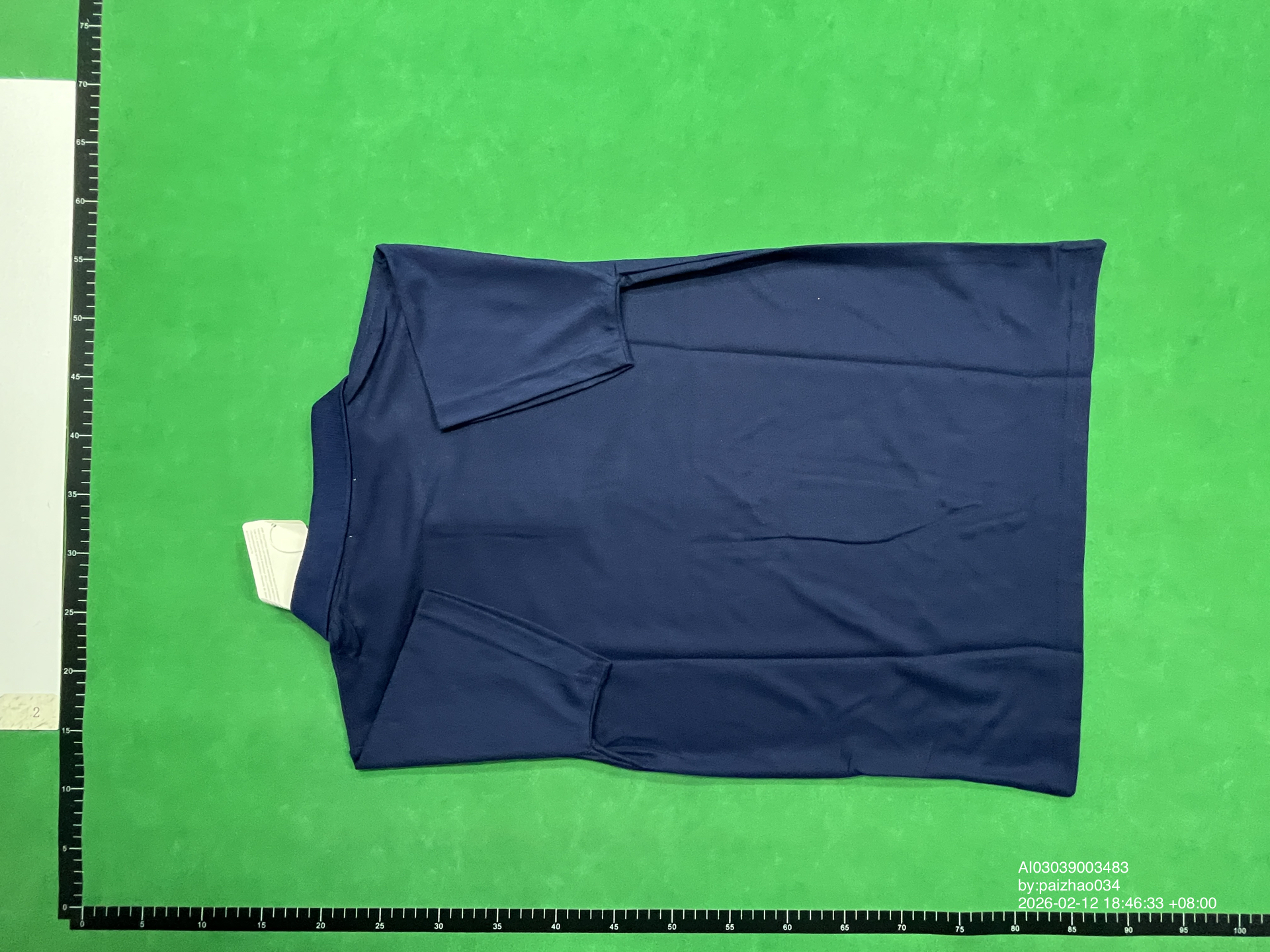 QC Photo - Lacoste Polo (12 Variants)