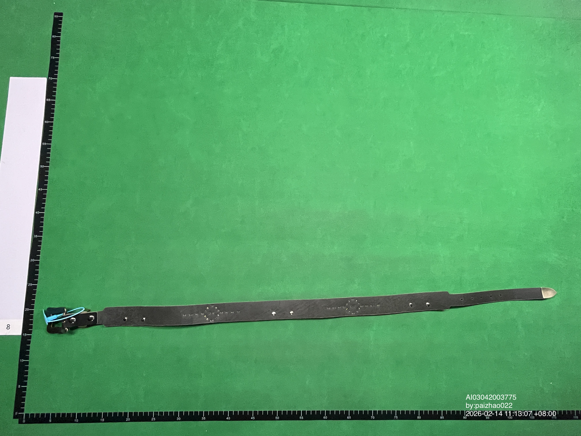 QC Photo - Enfants Riches Deprimes Bat Stud Texas Serenade Belt (4 Variants)