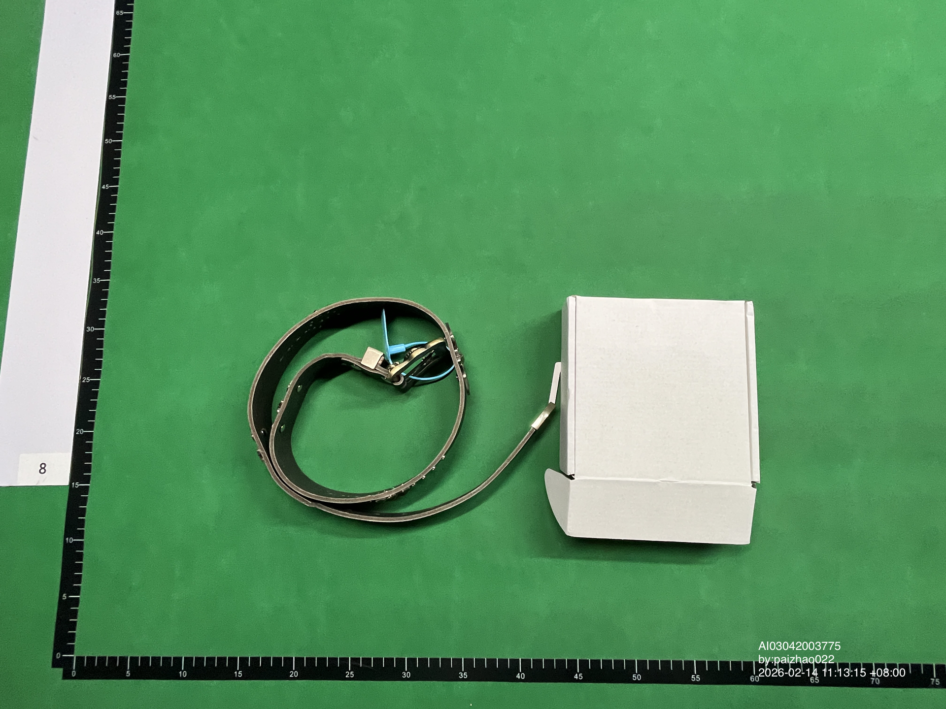 QC Photo - Enfants Riches Deprimes Bat Stud Texas Serenade Belt (4 Variants)